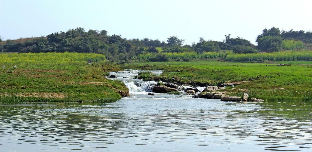 Bhadrawati - A Riverside Safari Lodge Ranthambore Kültér fotó